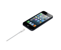 Apple Kabel USB - Lightning 0,5m - 170297 - zdjęcie 7